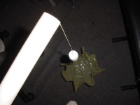 Bouw van een raket