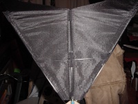 Eagle ornithopter van REM