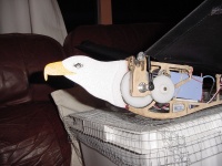 Eagle ornithopter van REM