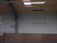 Indoor FlyIn Appingedam
