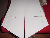 Robbe Vampir