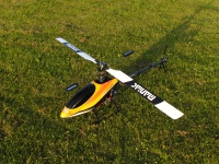 Trex600