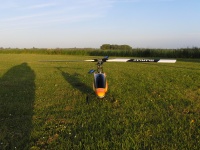 Trex600