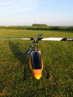 Trex600