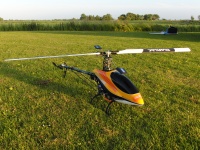 Trex600