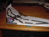 Tsagi night flyer