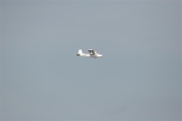 Twinstar II Cargo Watervliegtuig
