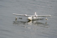 Twinstar II Cargo Watervliegtuig