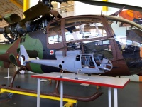 Gazelle AS 341