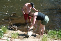 harsewinkel 2008