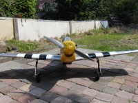 Tekoop