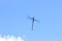 Avio-eelde
