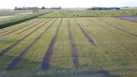 Herstel veld