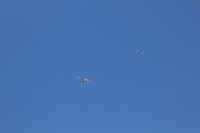 Open dag 20240010.JPG