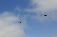 Open dag 20240016.JPG