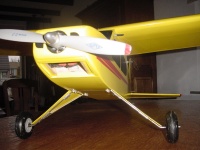 charter